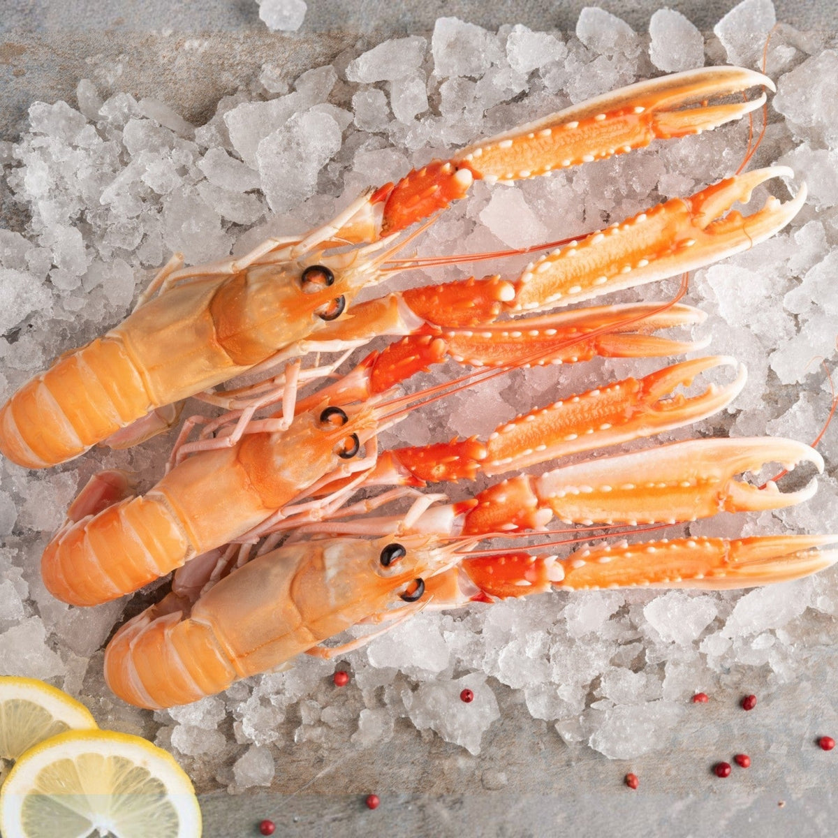 Coquillages & Crustacés