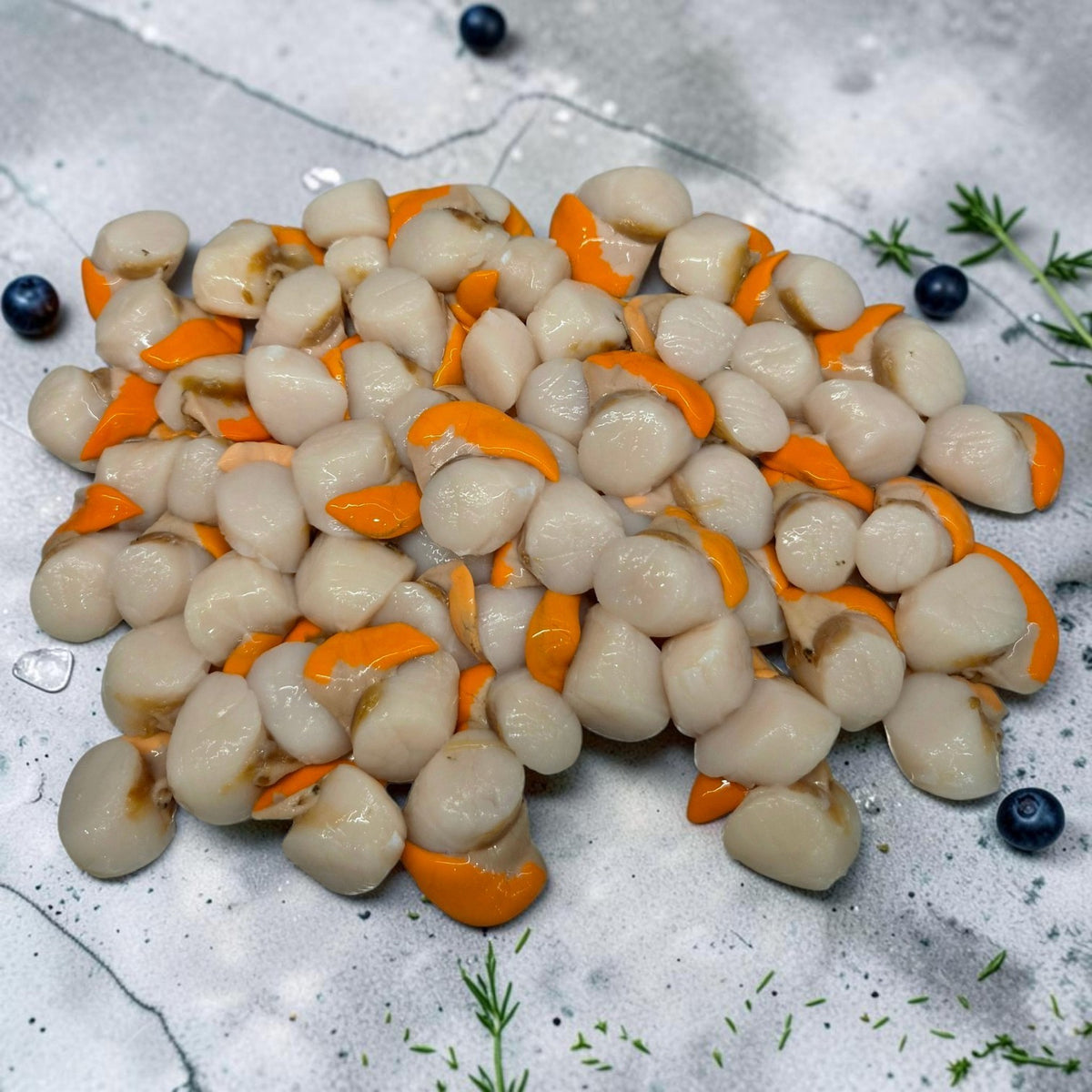 Coquilles Saint-Jacques normandes décortiquées (60 pièces)