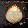 Araignée décortiquée maison