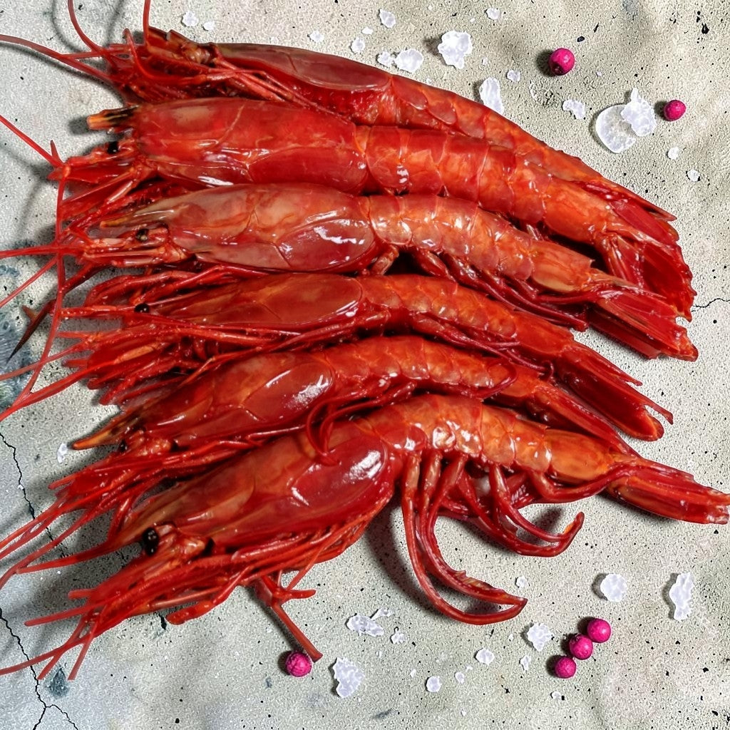 Carabineros