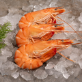 Crevettes roses Label Rouge Madagascar (4 pièces)