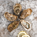 Huîtres de pleine mer de Normandie n°2 ( 6 pièces)