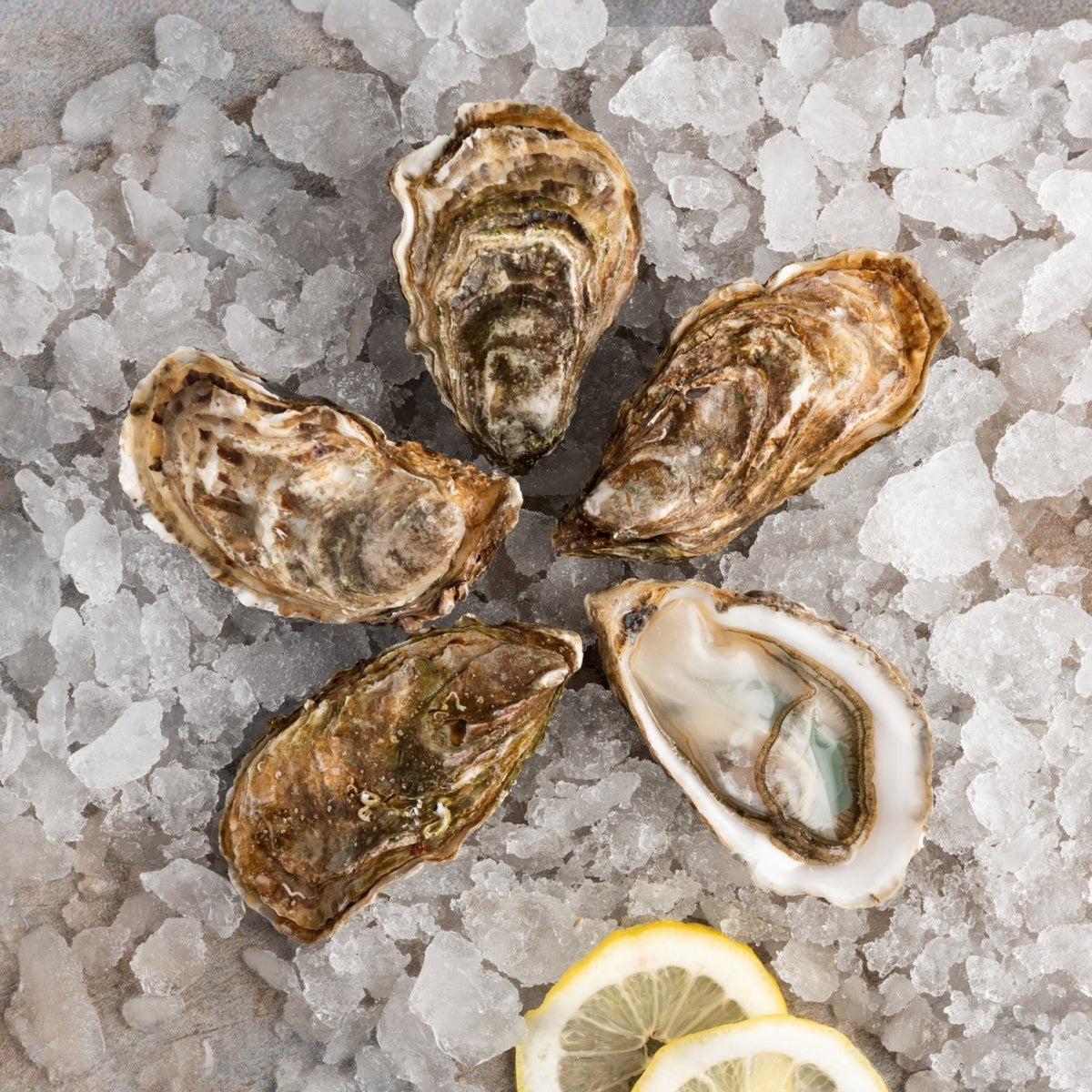 Huîtres de pleine mer de Normandie n°2 ( 6 pièces)