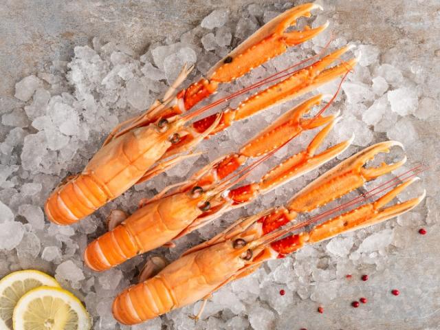 LANGOUSTINE